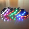 LED Nylon Dog Collar For Dogs