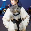 Carriers for pets