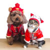 Pets Cute Halloween Costumes
