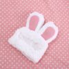Pets hat with rabbit ears