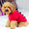 Pet dinosaur clothing Halloween