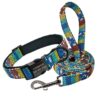 Nylon Custom Pet ID Collar Colorful Printed
