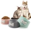 Cute Bowls with Bow for Pet Feeding