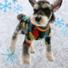graffiti sweater
