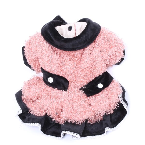 Elegant Dress For Dog Cute Design
