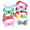 Party bow tie
