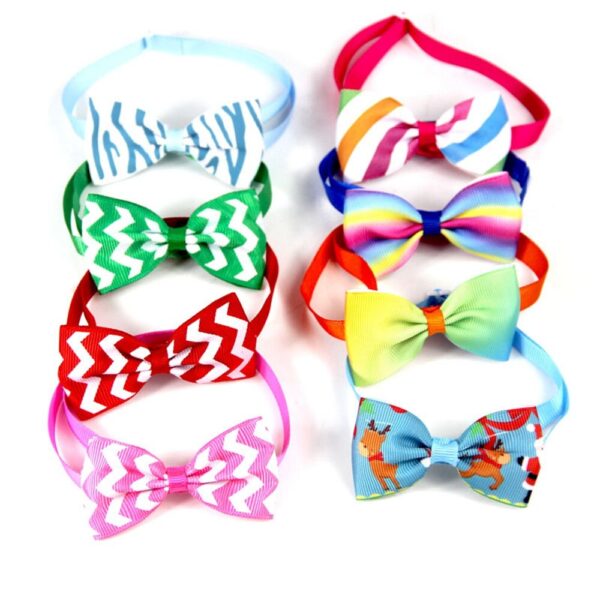 Party bow tie