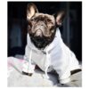 Hoodie for French Bulldog Chihuahua