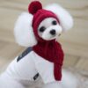 Fashionable Winter Warm Knitted Set