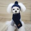 Fashionable Winter Warm Knitted Set