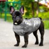 Waterproof Jacket for Dogs