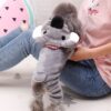 Winter Funny Jumpsuit for Small Dogs
