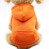 Warm Winter Dog Sweatshirt