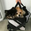 Detachable Pet Carrier Bag
