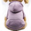Warm Winter Dog Sweatshirt