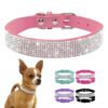 Leather Collar with Rhinestones