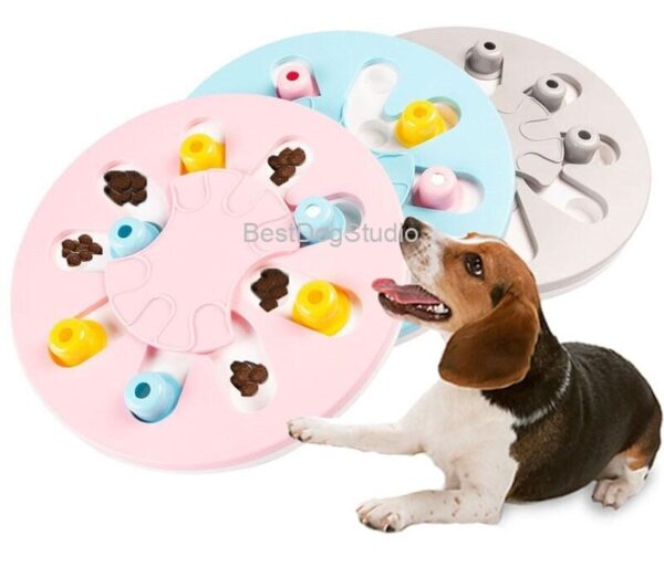 Interactive Feeder Dispenser